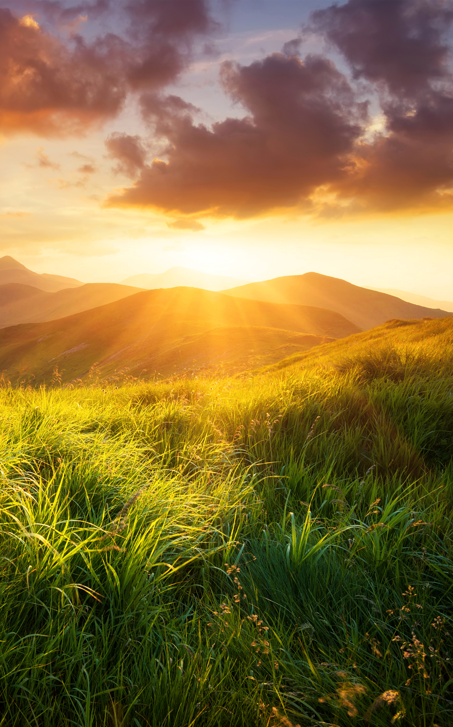 Landscape Phone Wallpaper