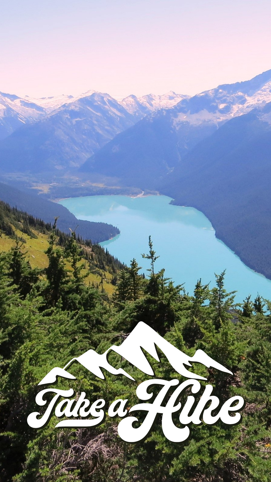 customizable wallpaper green