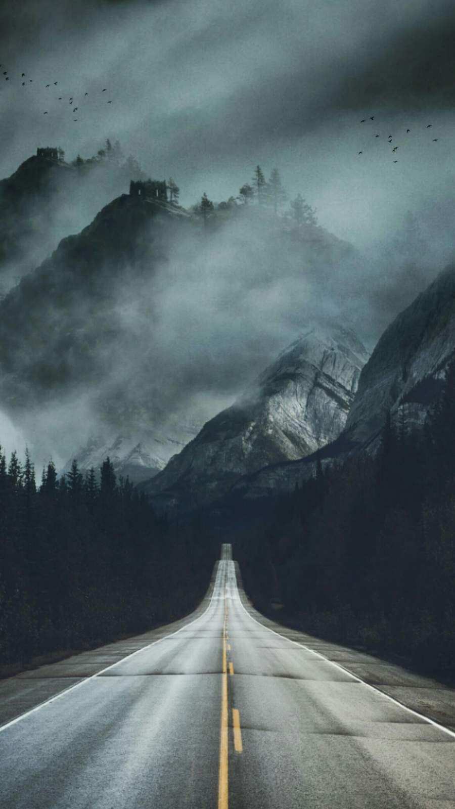 Mist Road iPhone Wallpaper. iPhone