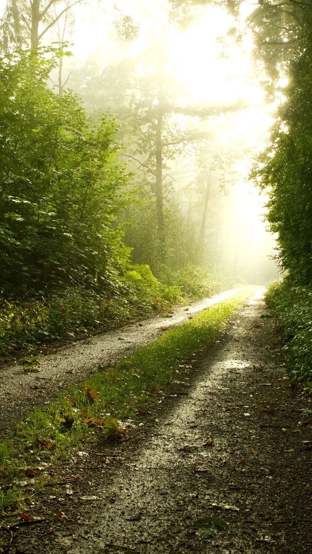 The Road Google Pixel Wallpaper