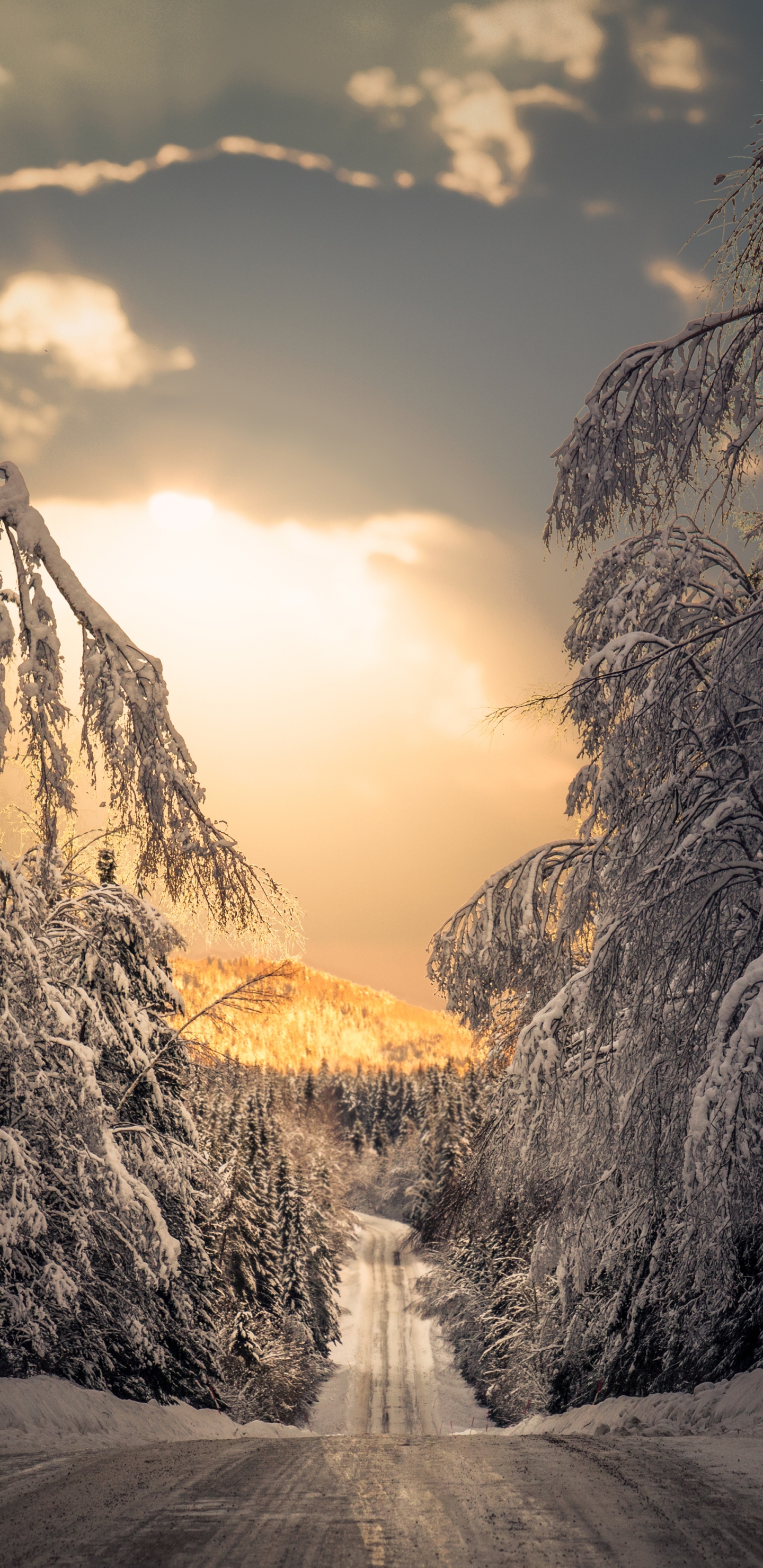 Road Phone Wallpaper