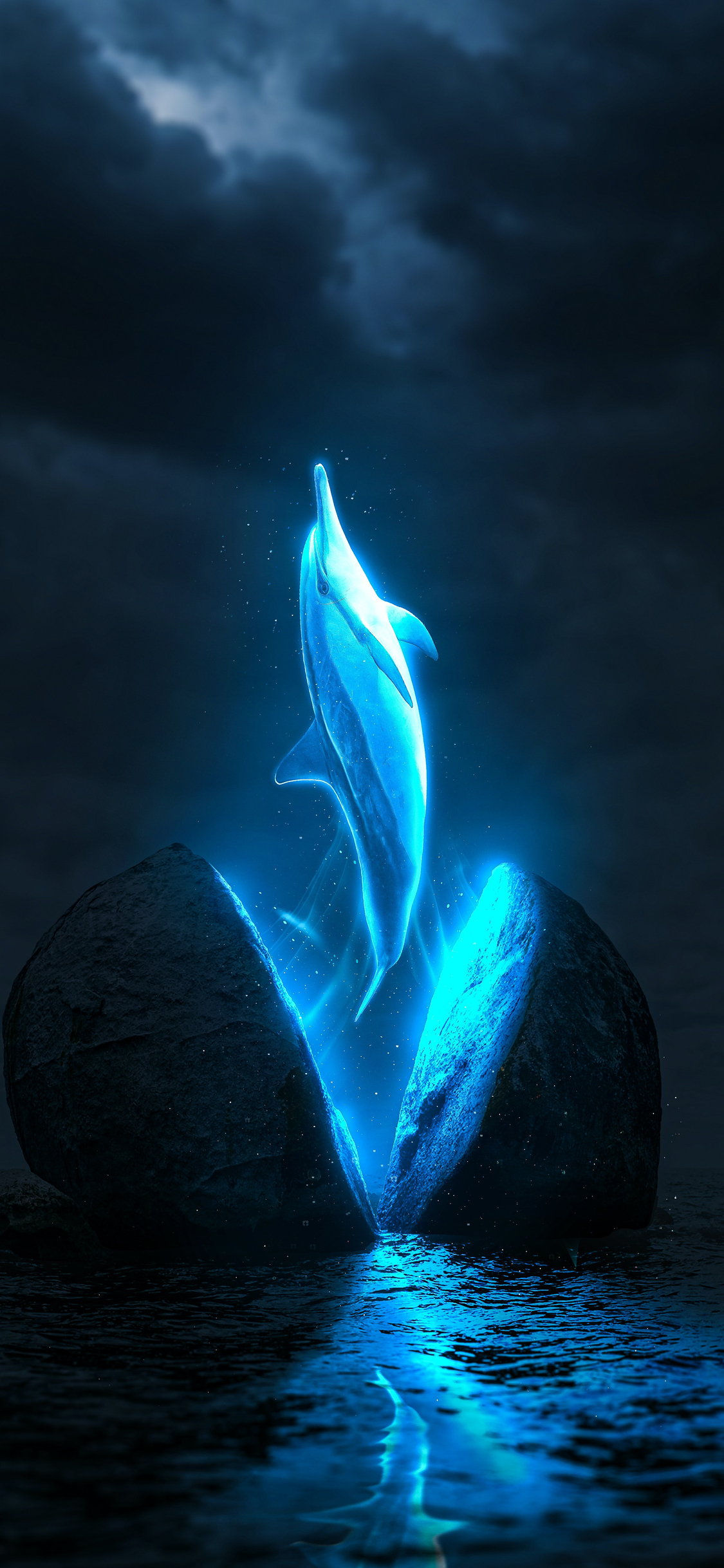 Mystical Dolphin iPhone XS