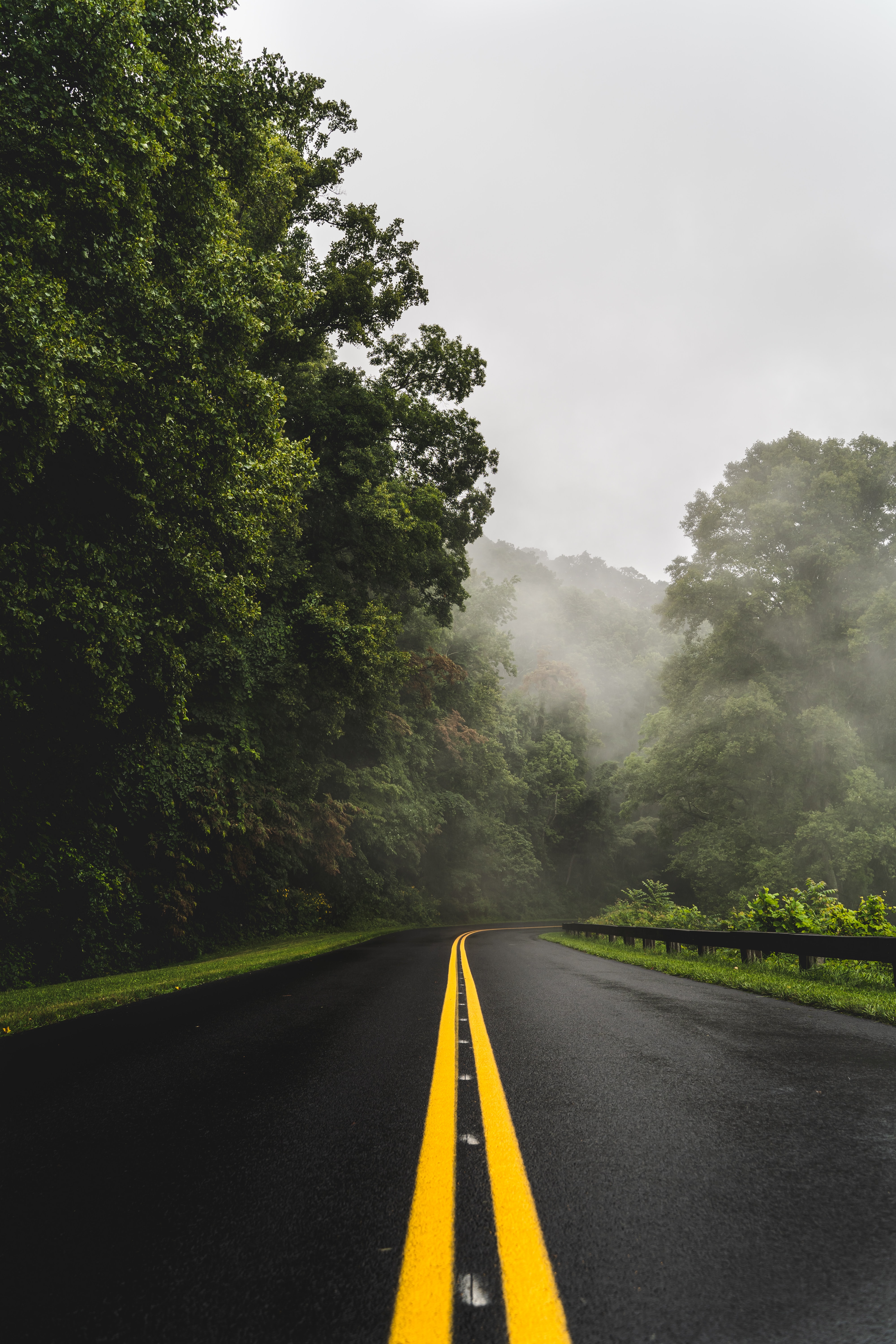 wallpaper: Asphalt, Nature, Fog, Trees
