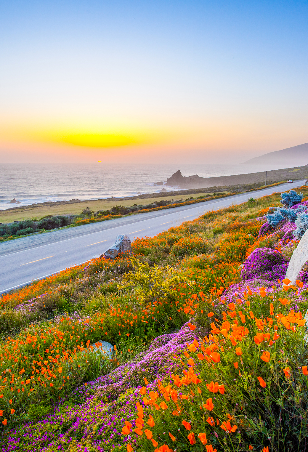One California Wallpaper for iPhone