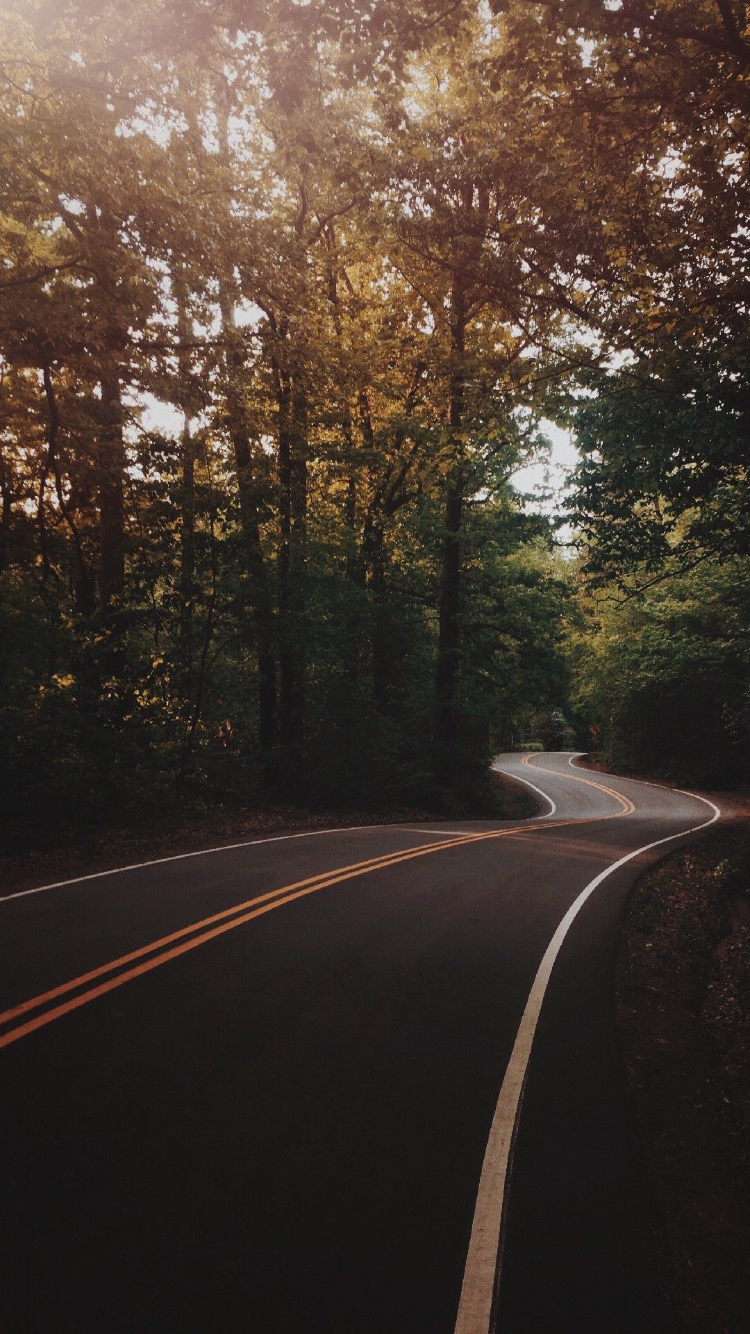 Forest Roads Phone Wallpaper Lockscreen