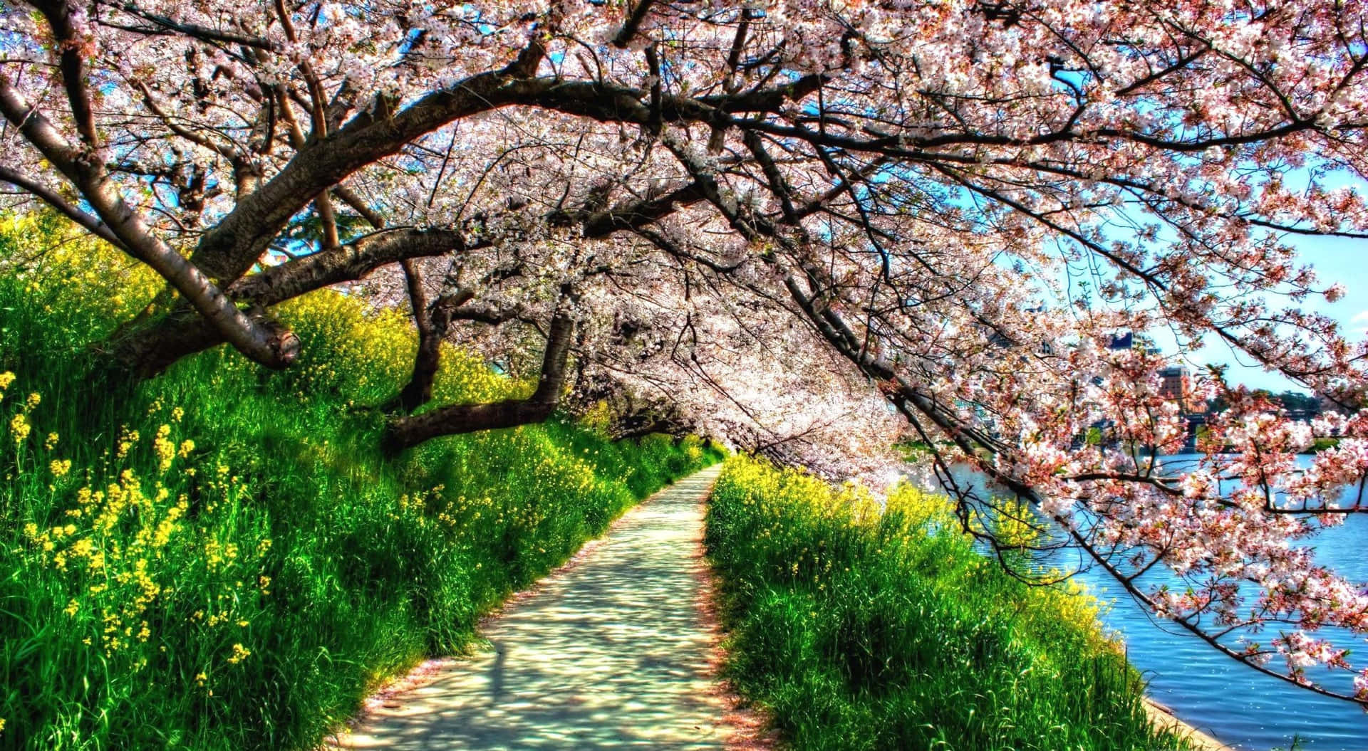 Beautiful Spring Picture