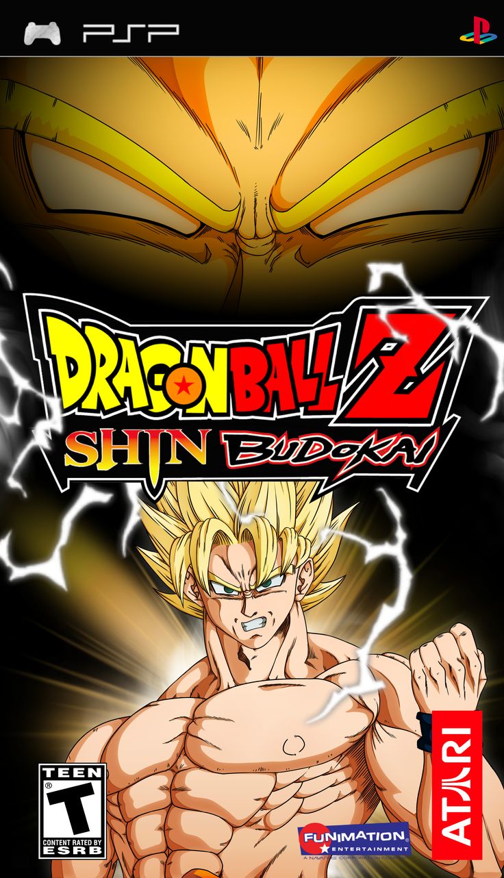 DBZ Shin Budokai Remastered. Dragon