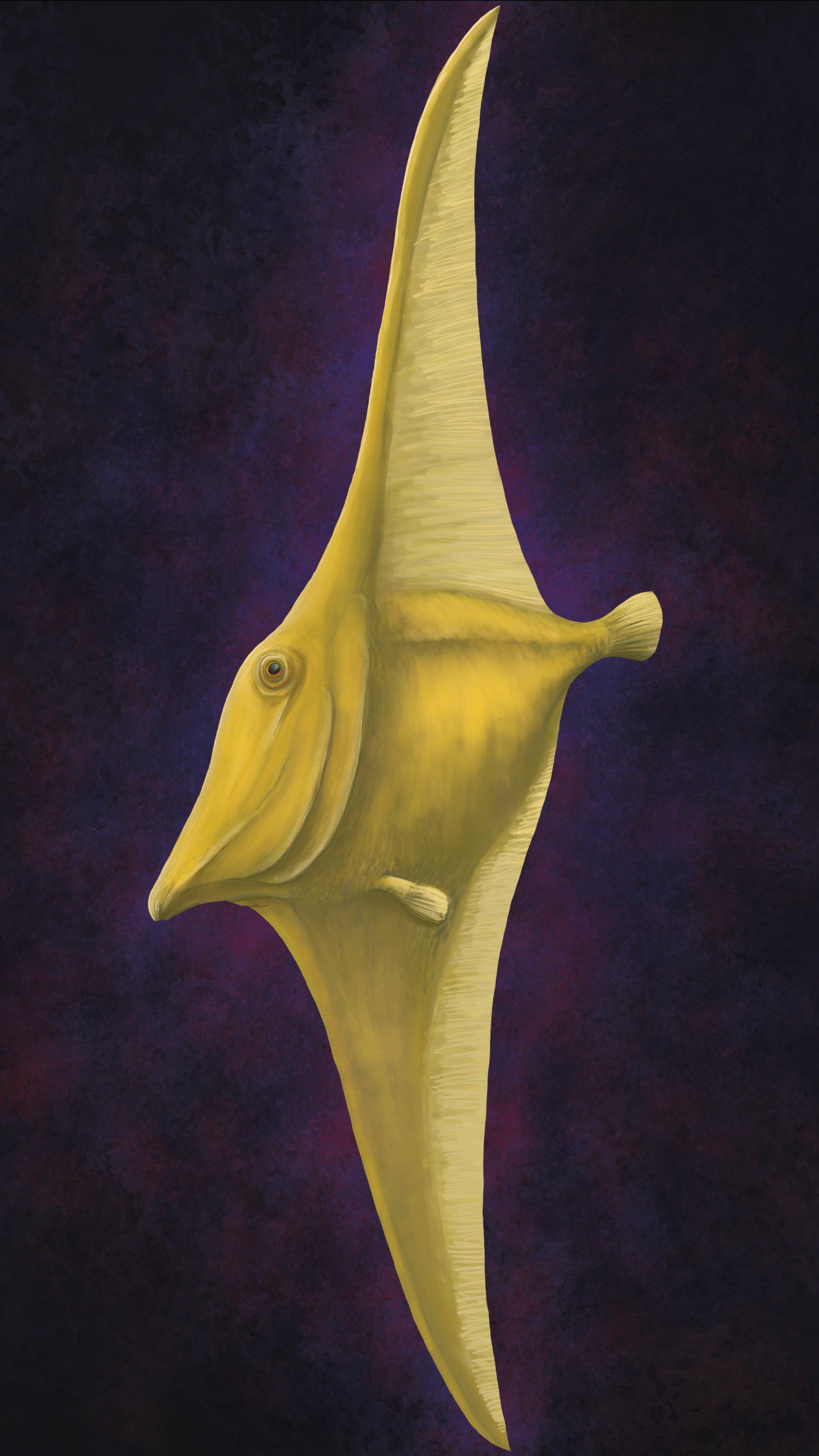 Liam Elward Paleoart, it