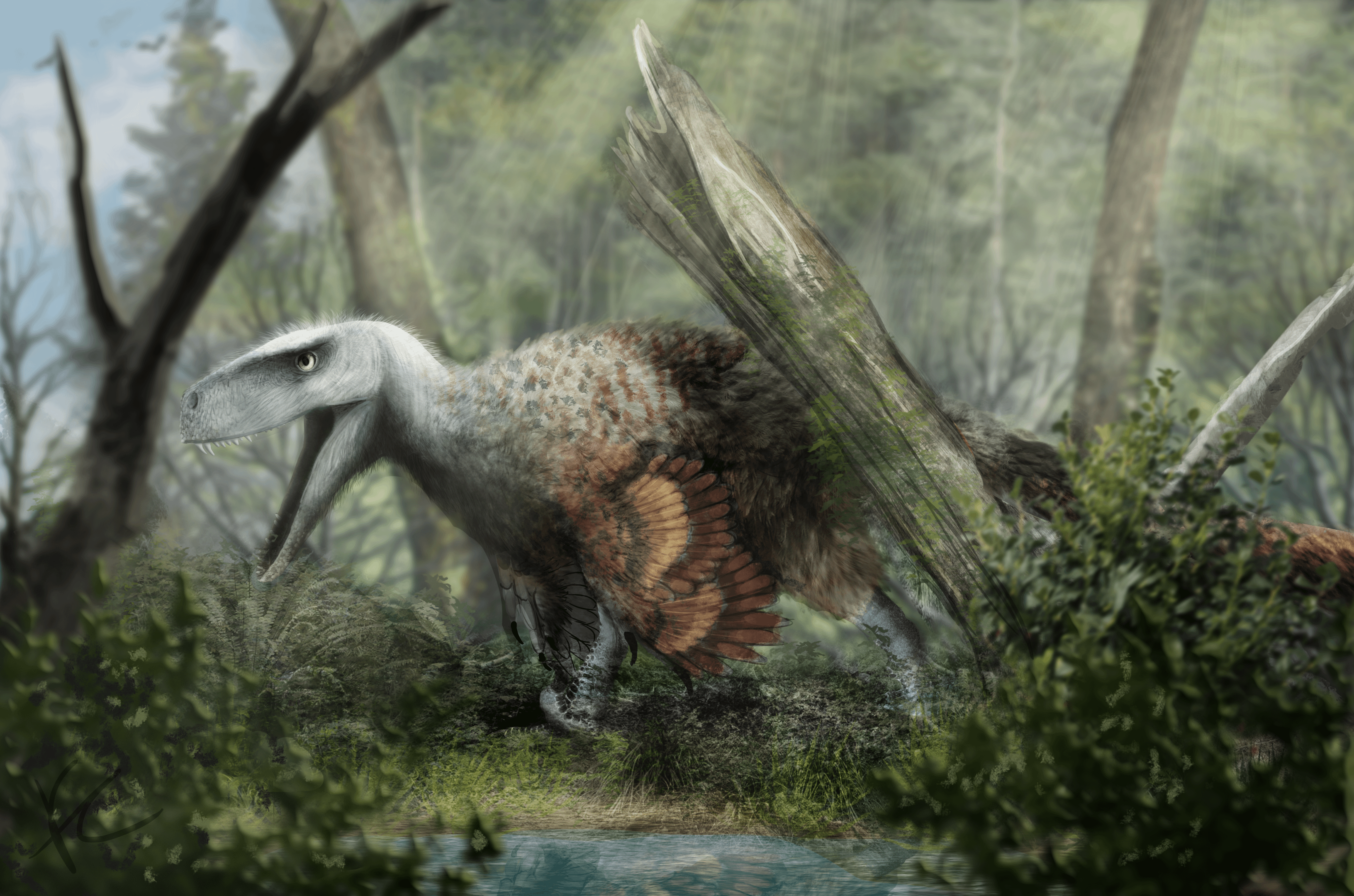 The animal itself isn't completely