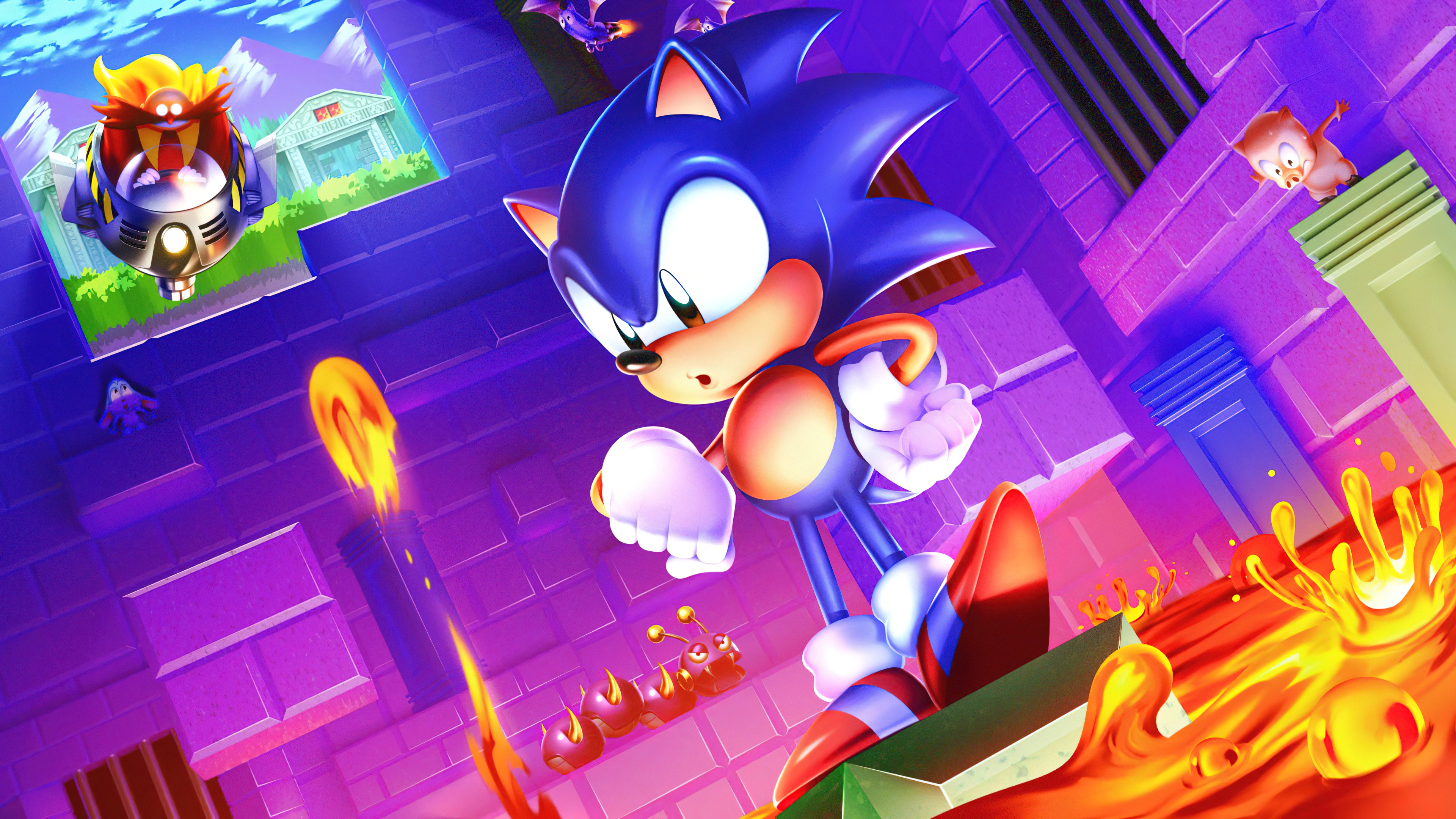 Hedgehog 4K Ultra HD Wallpaper Adventure