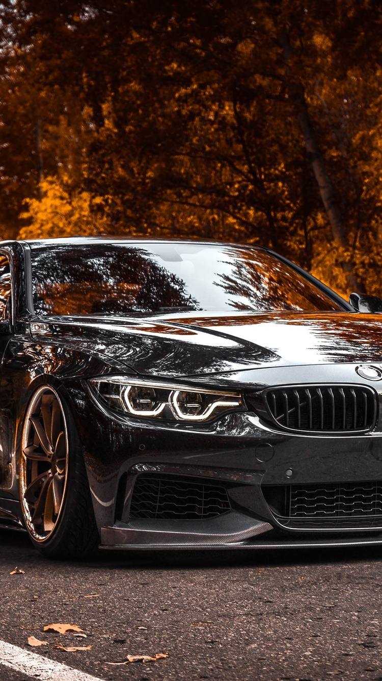 BMW Tuning 4 Series Black