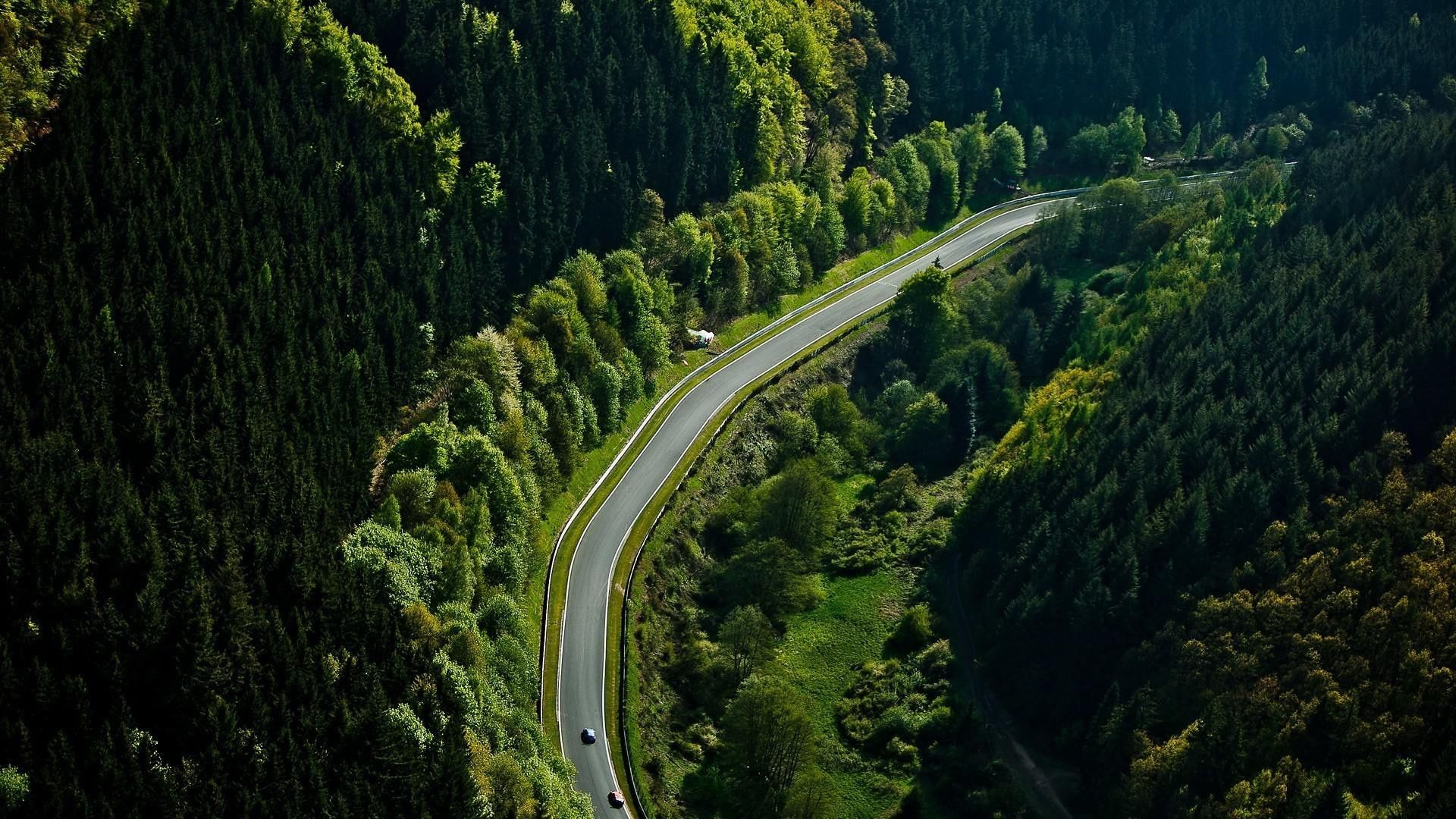 Nurburgring, Germany, green leave trees