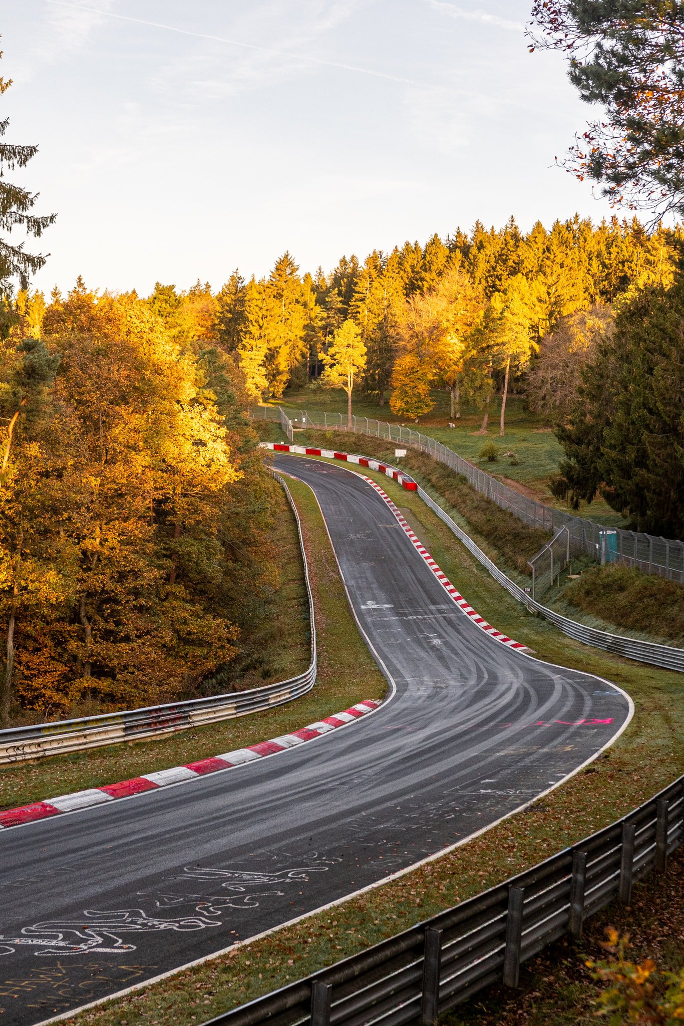 Fall vibes in the Green Hell