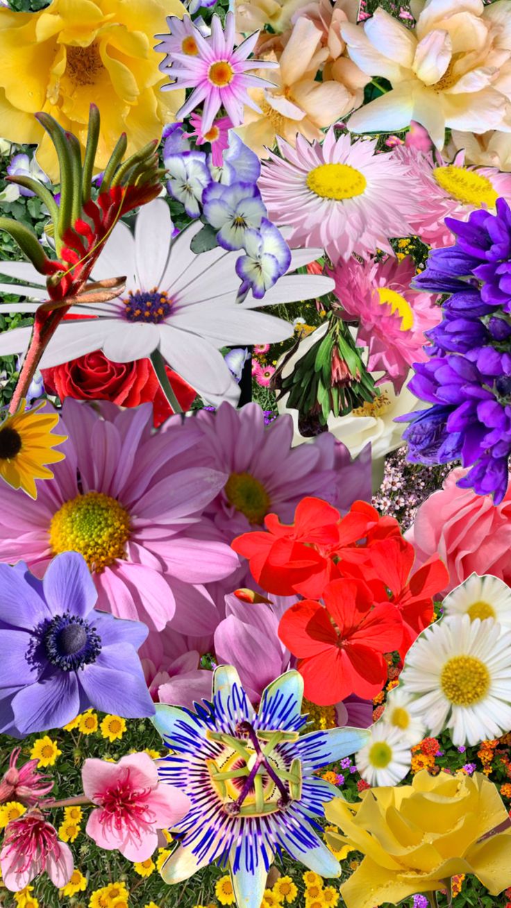 Flower art painting, Trippy background