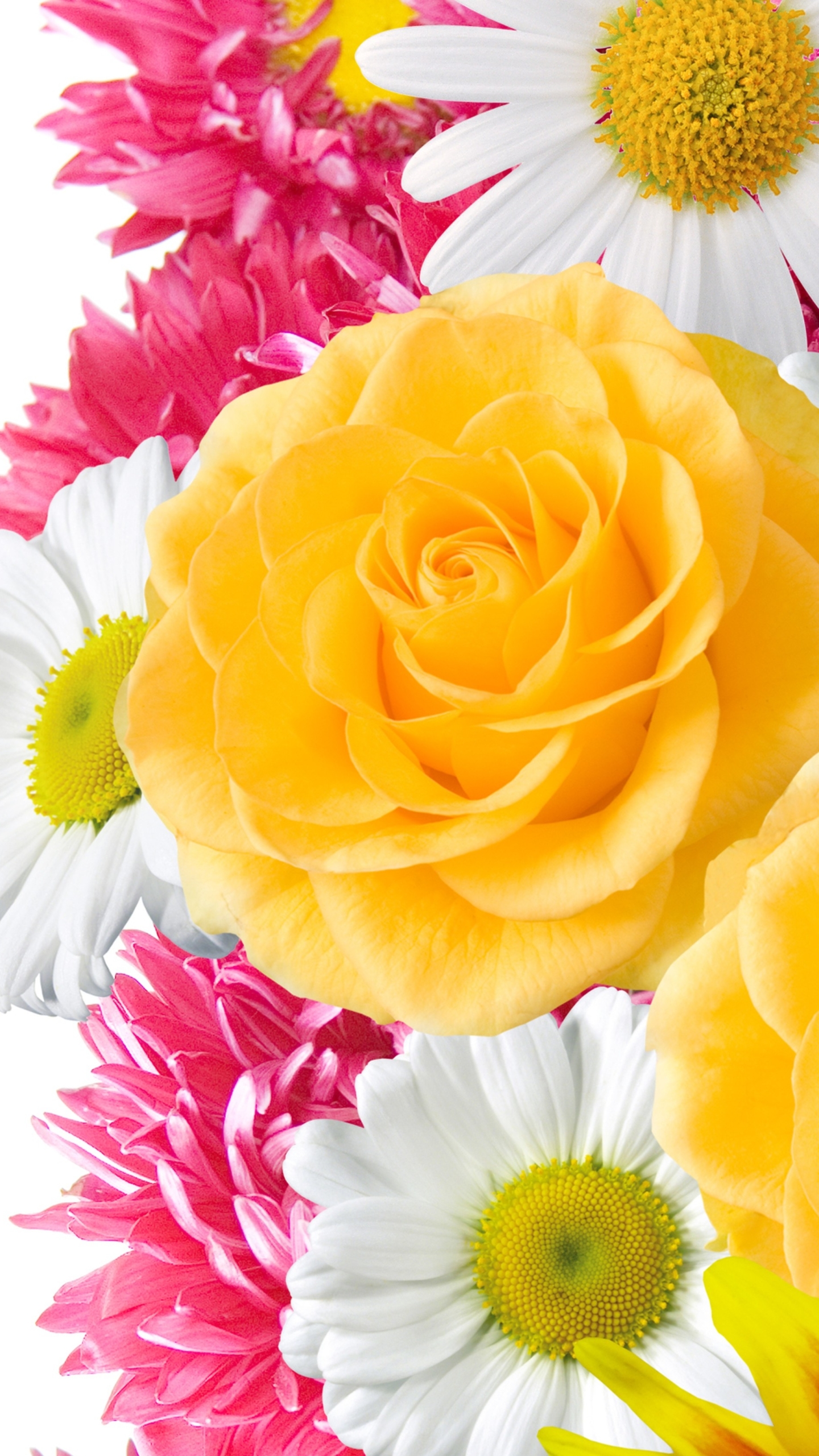 HD desktop wallpaper: Flowers, Flower