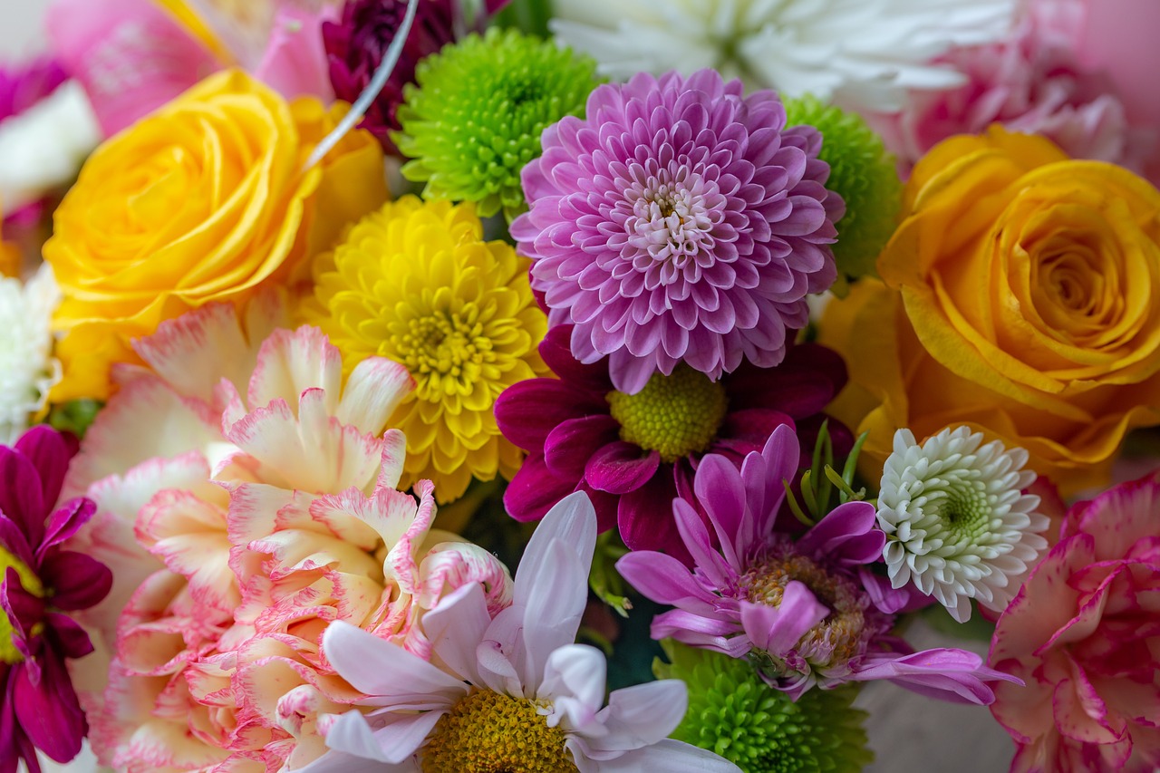 Flowers Color Spring