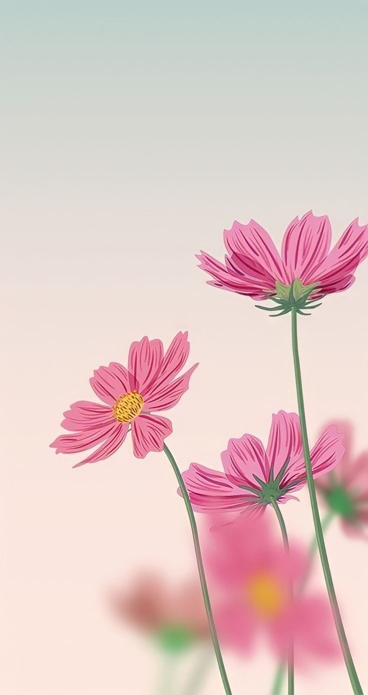 Soft colour flowers wallpaper. Cute