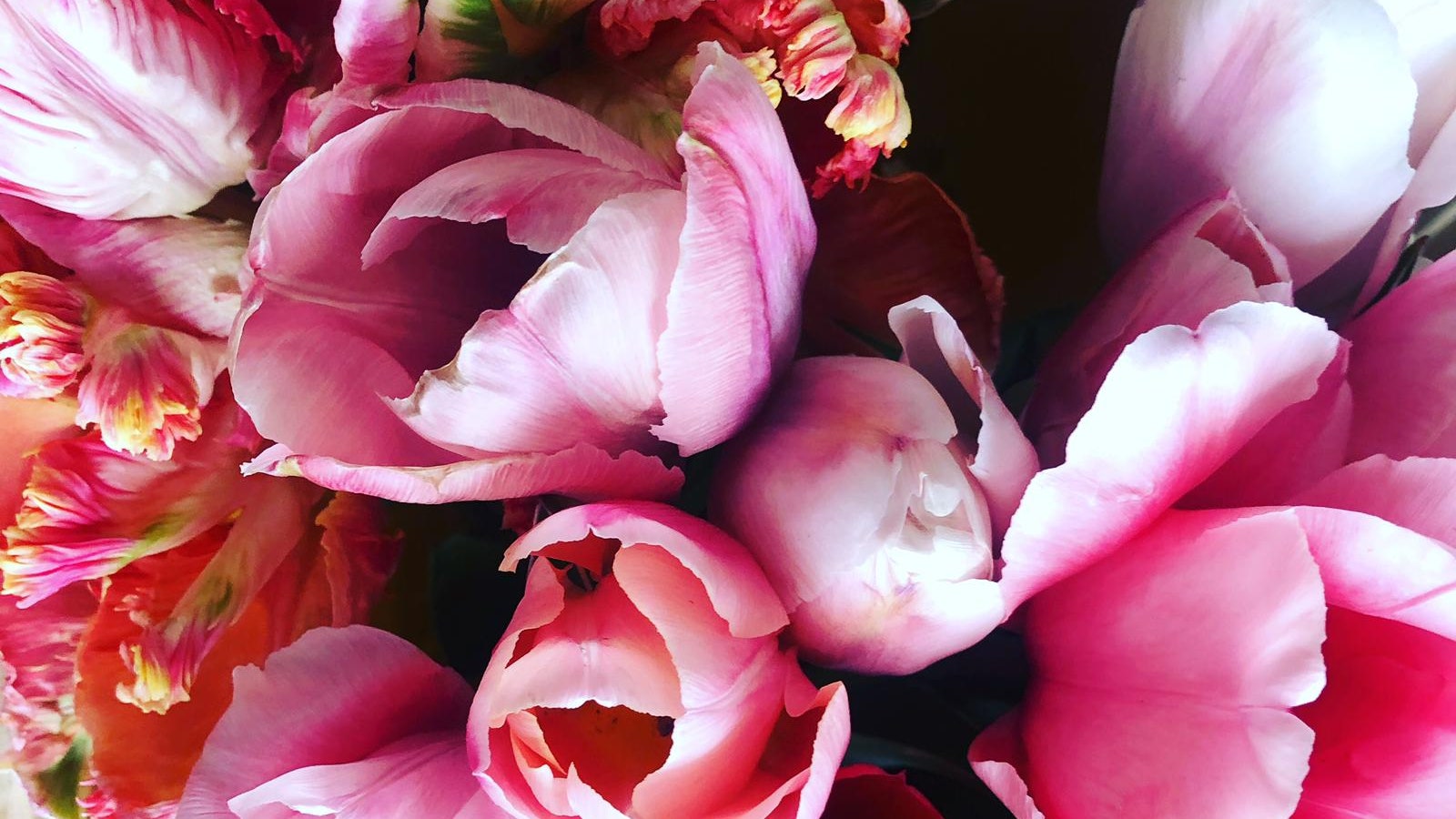 Why you should think beyond roses this