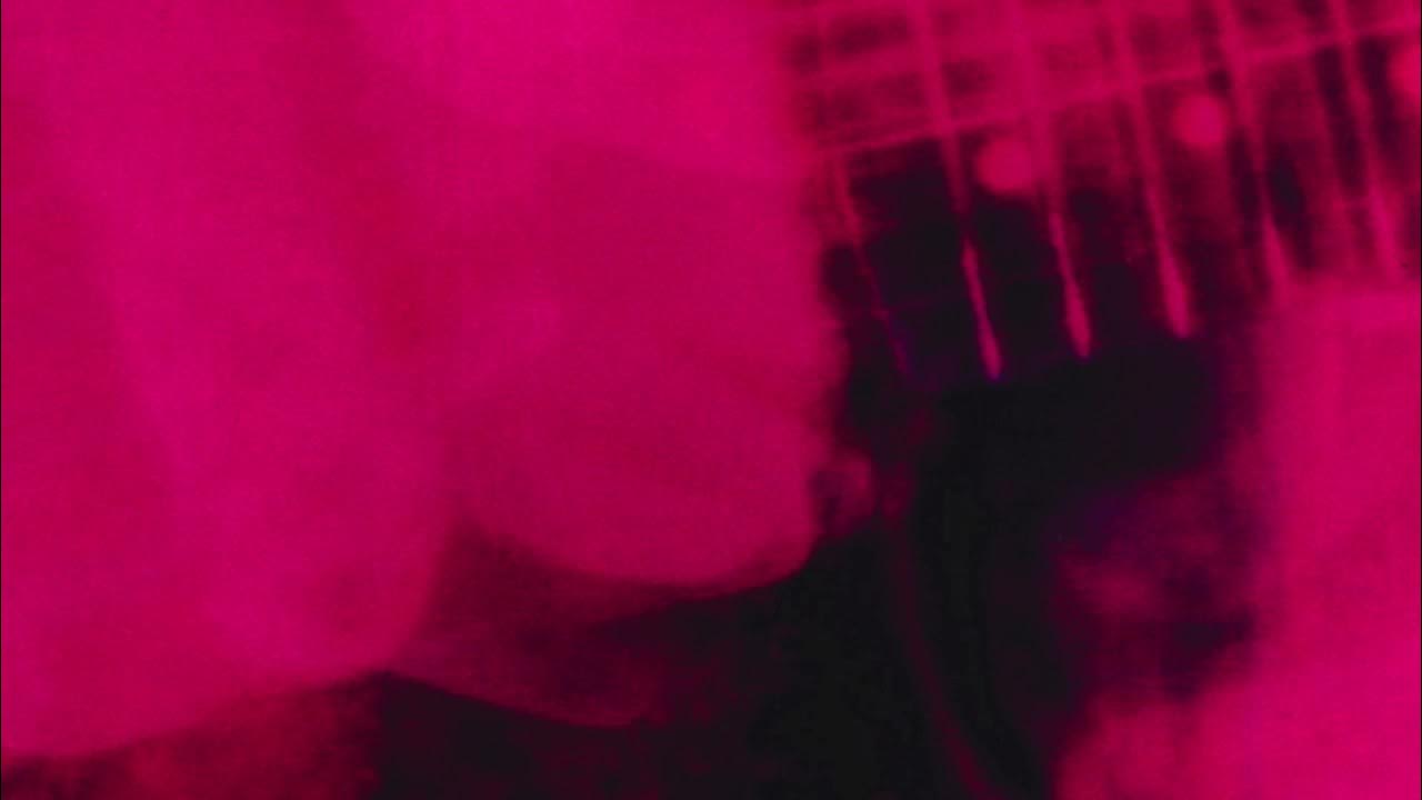 My Bloody Valentine Only Said +