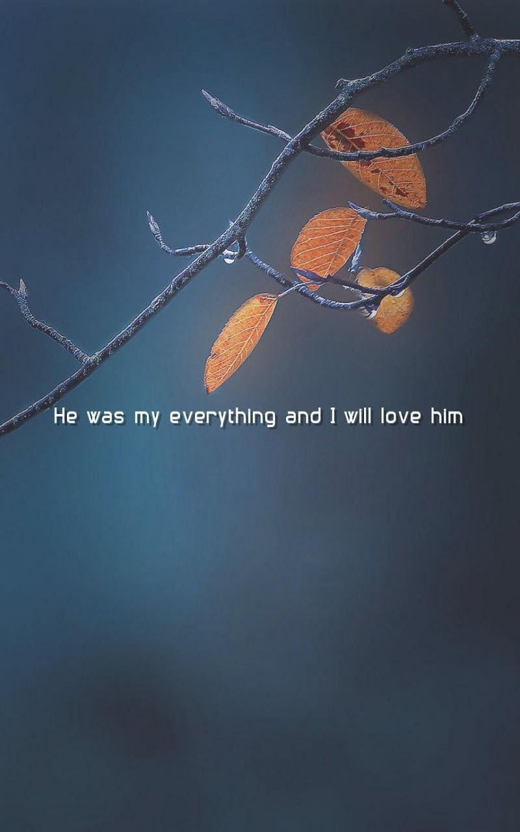 Heart Broken Image Love Quotes