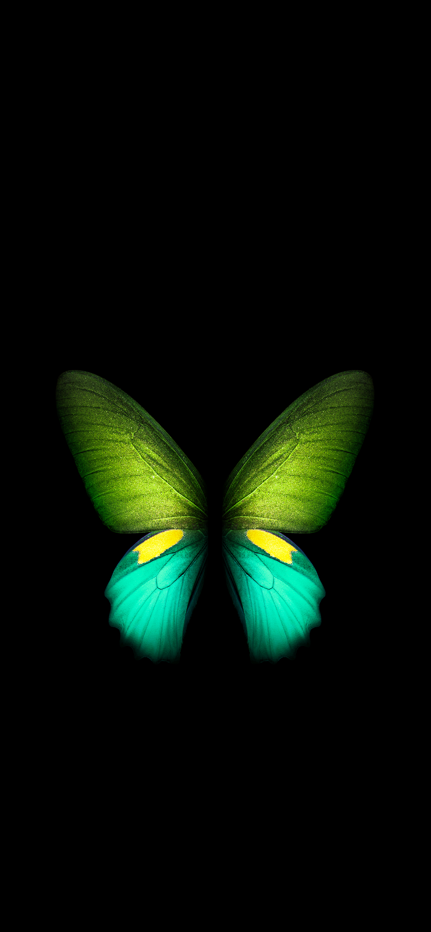 Butterfly Fold (Green). LIVE