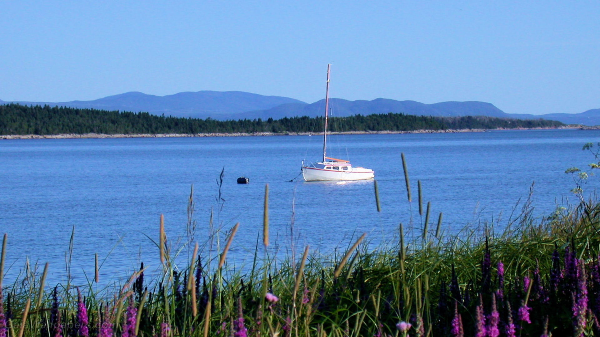St Lawrence River Wallpaper 1920x1080