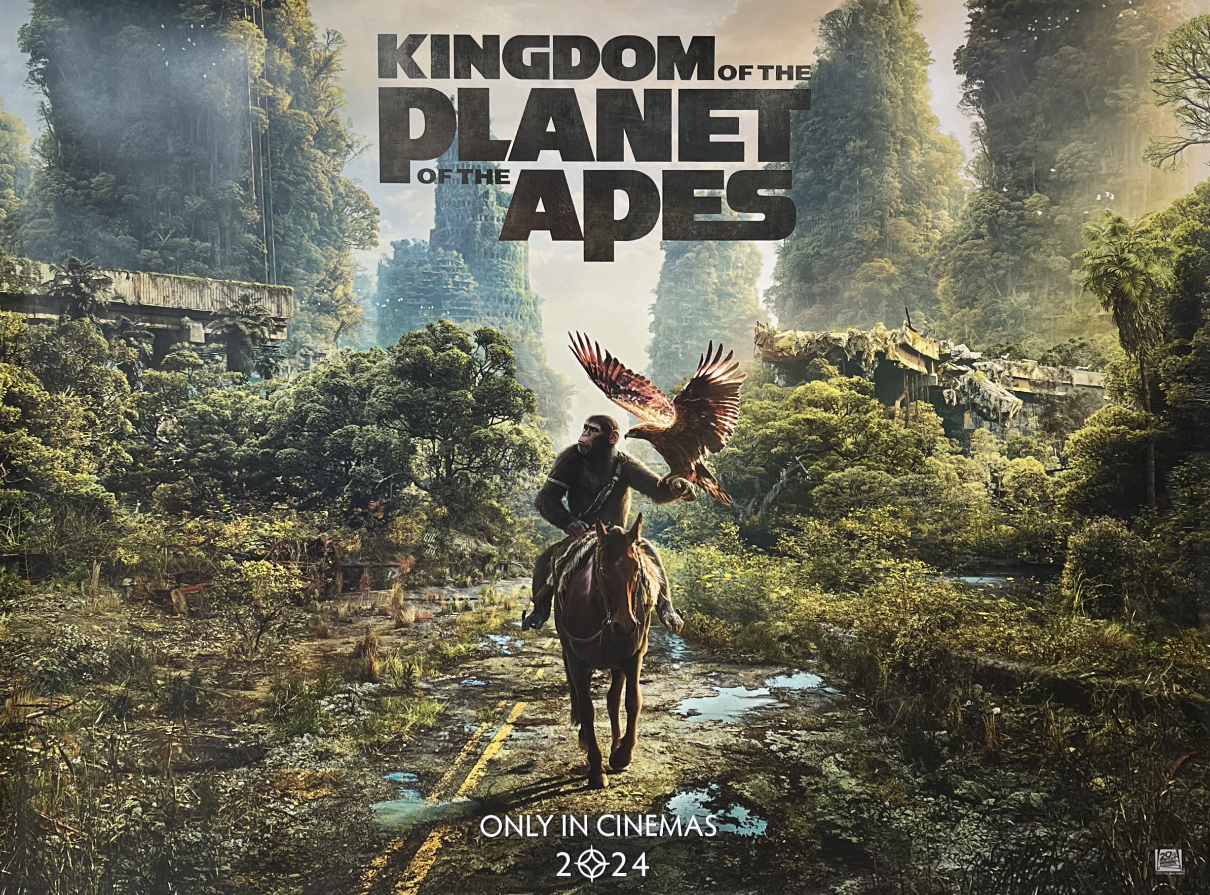 the Apes 2024 UK Quad Movie Poster