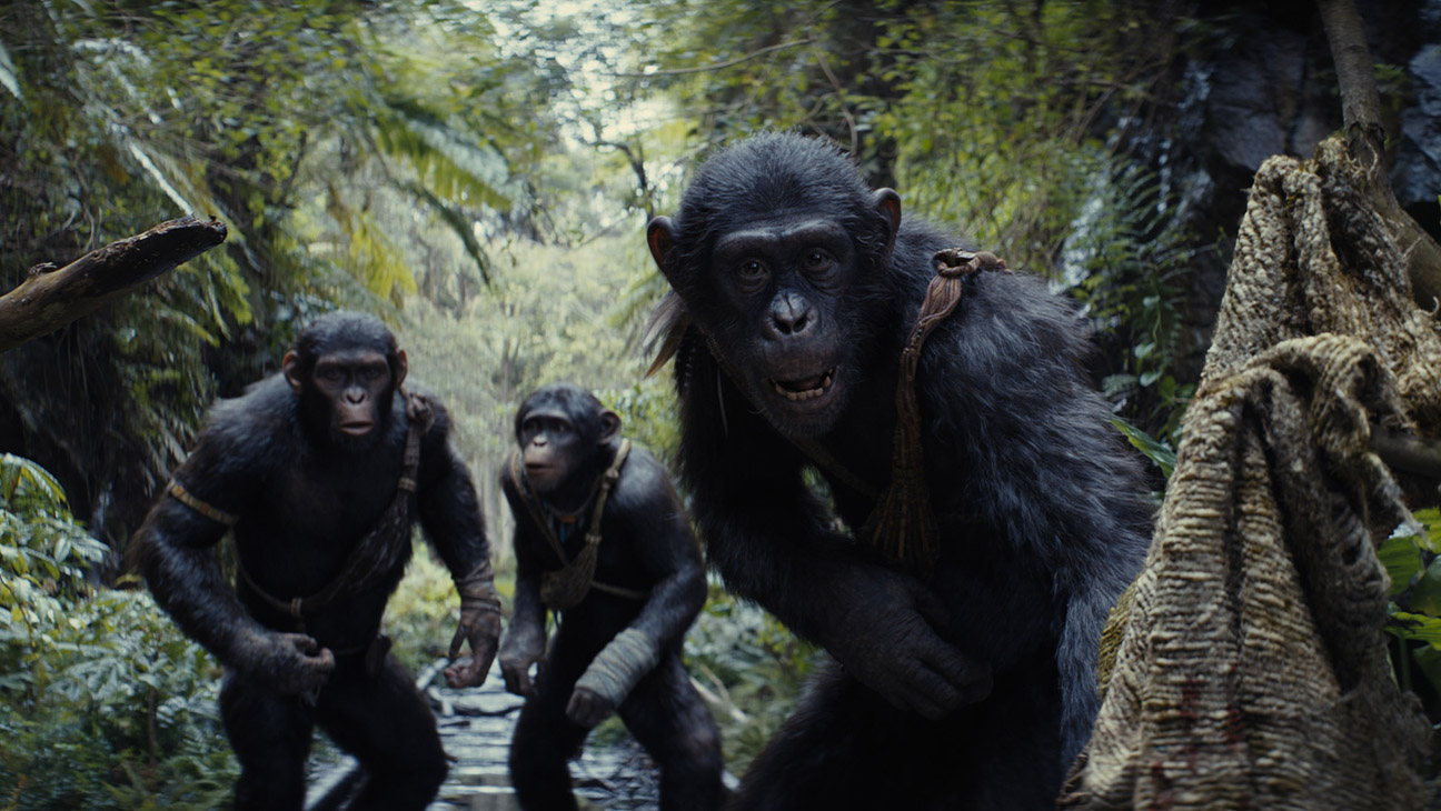 Kingdom Of The Of The Apes 2024 Movie Wallpapers Wallpaper Cave