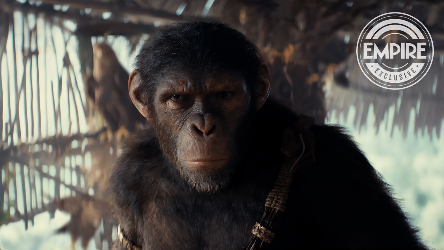 Kingdom Of The Planet Of The Apes Sets