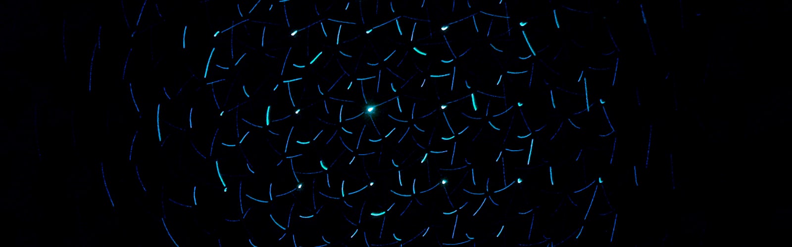 abstract, background, wallpaper