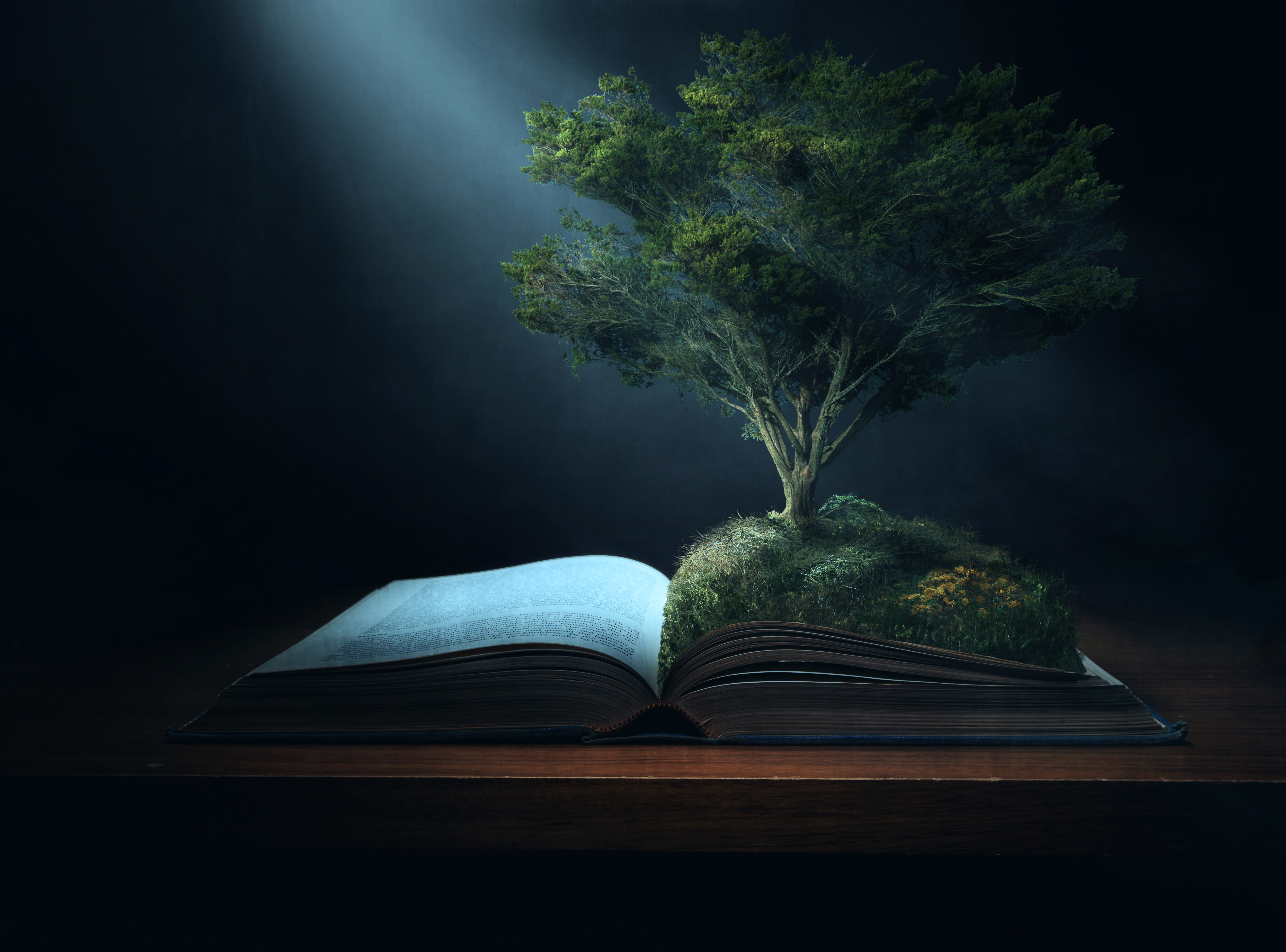 HD desktop wallpaper: Fantasy, Book