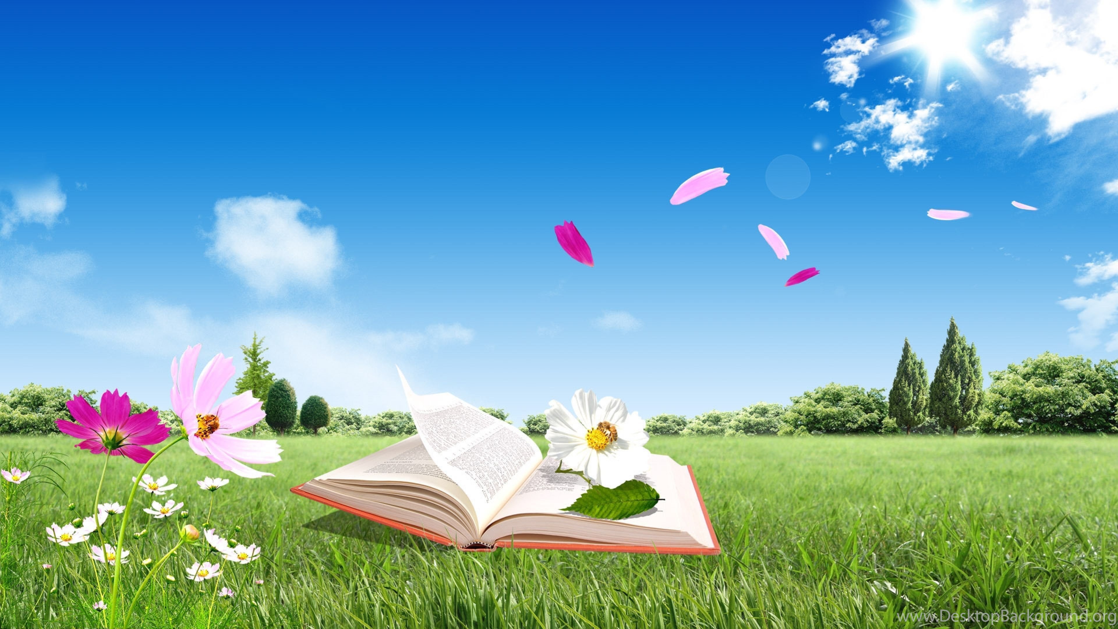 4K Ultra HD Book Wallpaper HD, Desktop