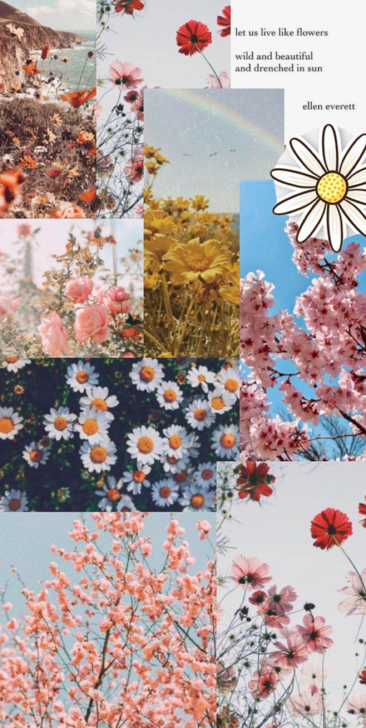 Flower Aesthetic Background