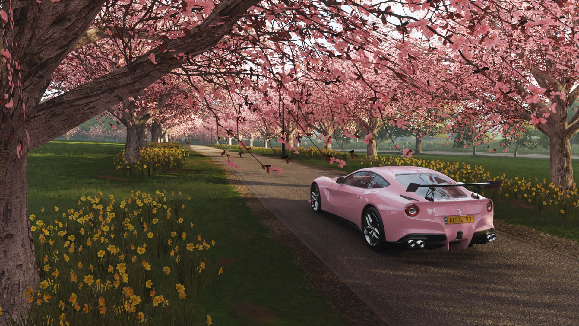 Download A Pink Car Driving Down A Road With Cherry Blossoms