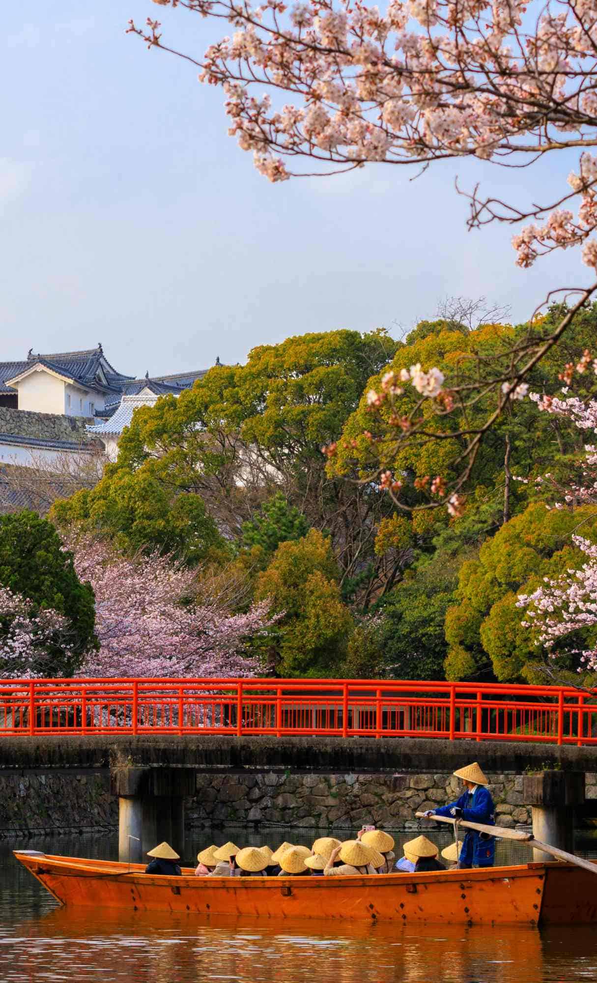 Spring Wallpaper for iPhone