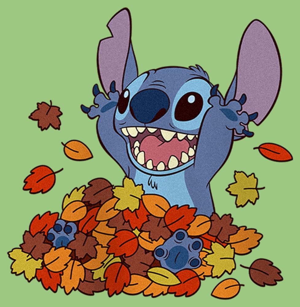 Disney Lilo & Stitch Play