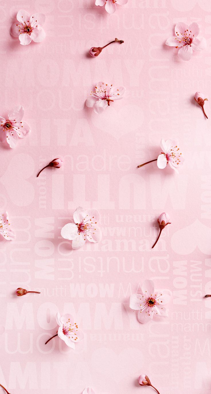 Beautiful wallpaper for iphone