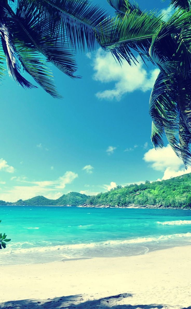 Summer vibes adventure, Landscape wallpaper