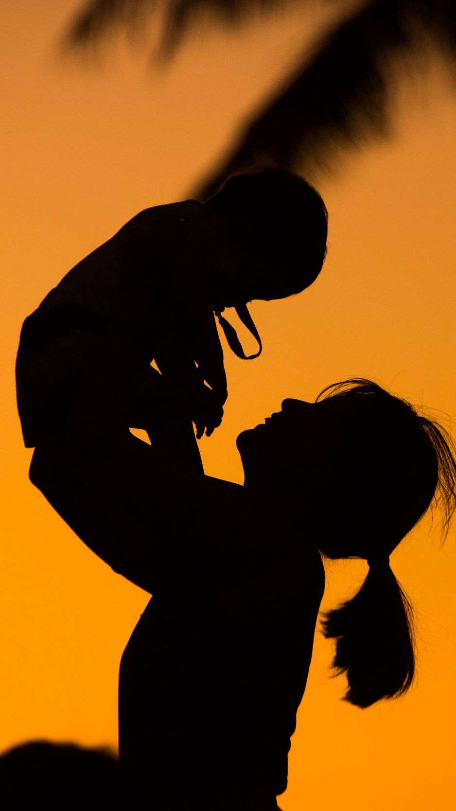 Download wallpaper 938x1668 silhouettes