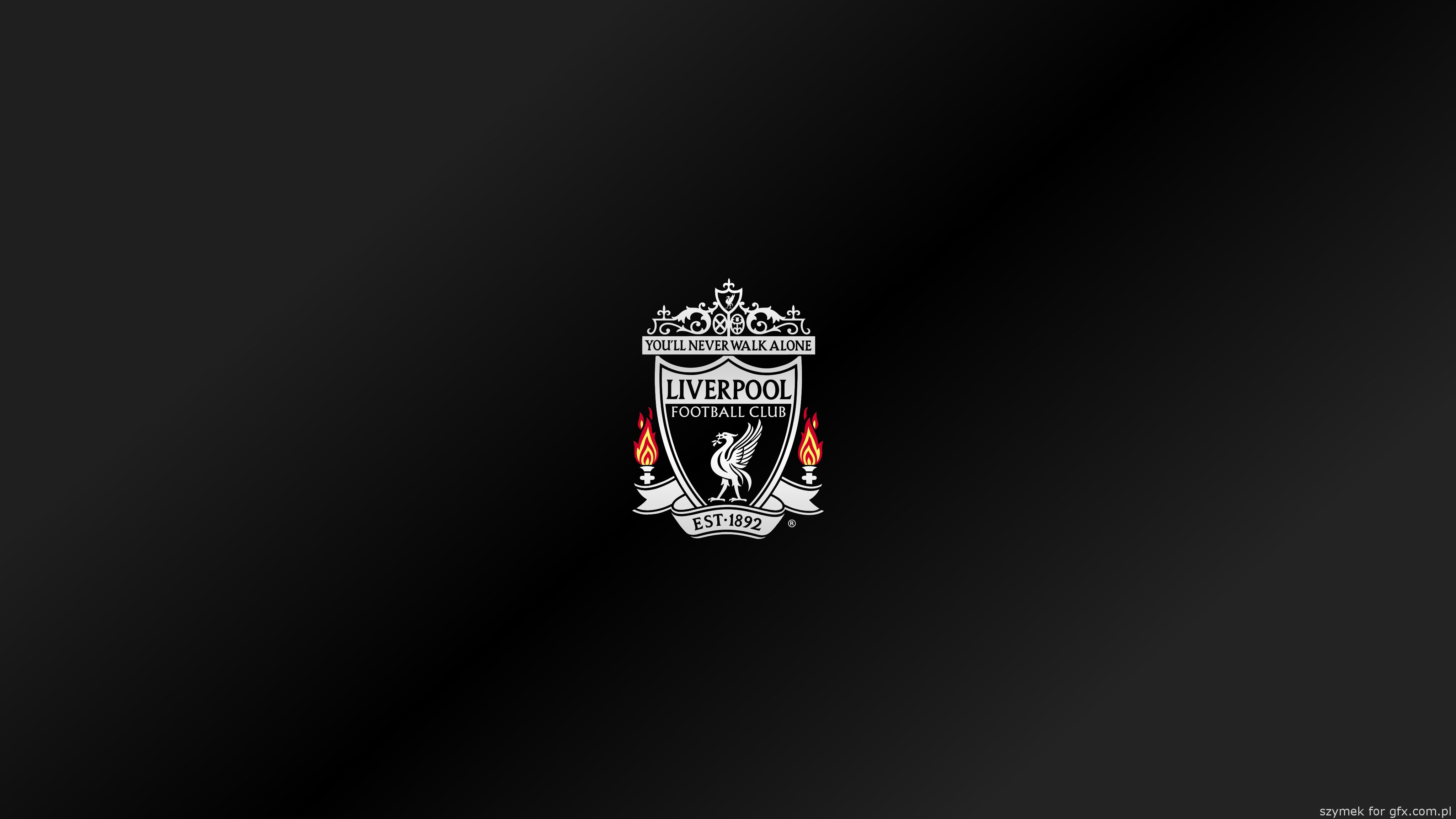 Download Liverpool F C wallpaper