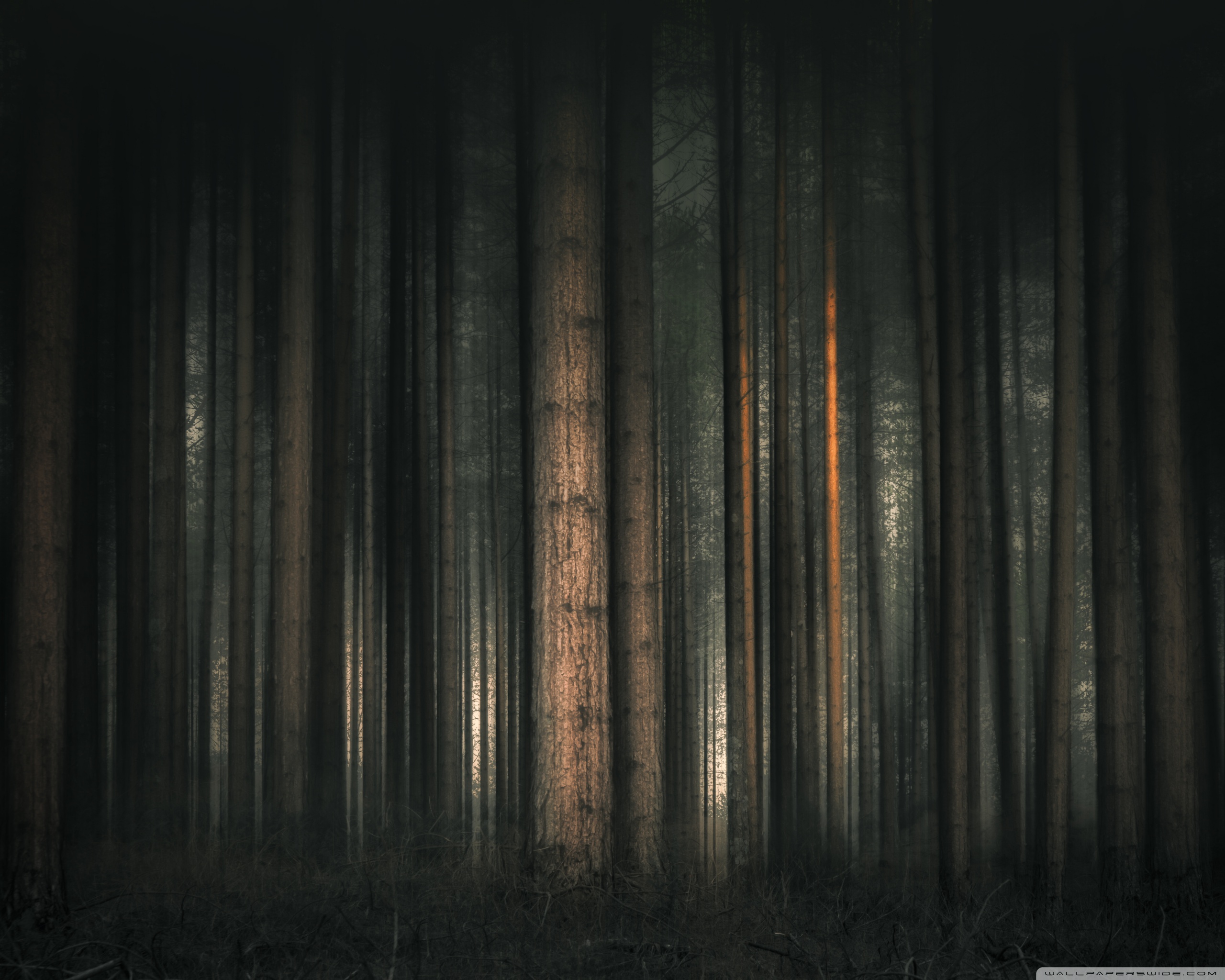 Ultra HD Desktop Background Wallpaper