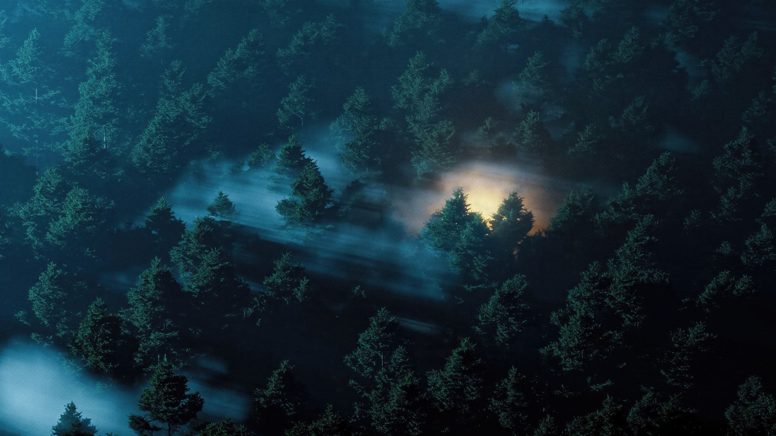 Enchanted Twilight In