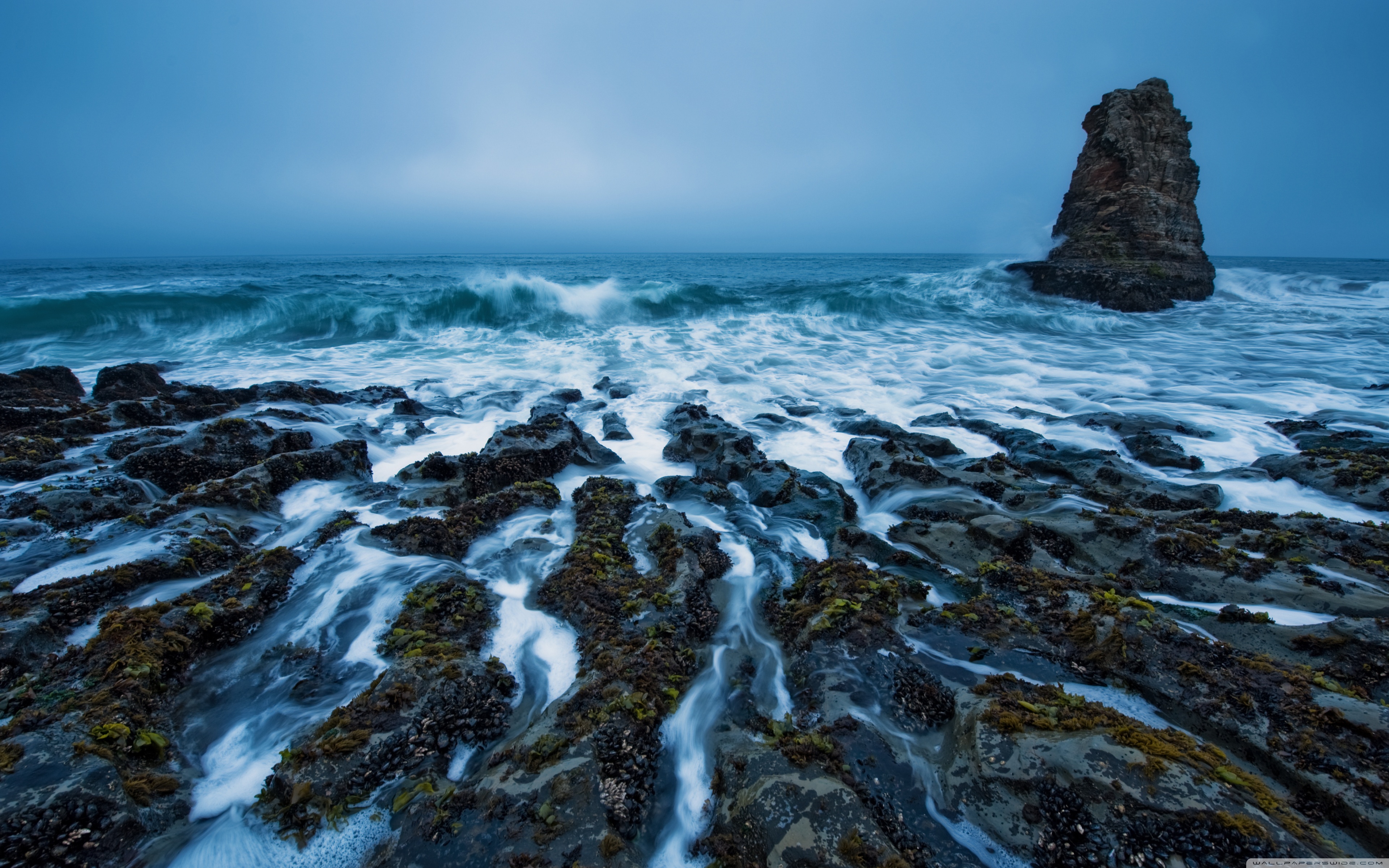 Ultra HD Desktop Background Wallpaper