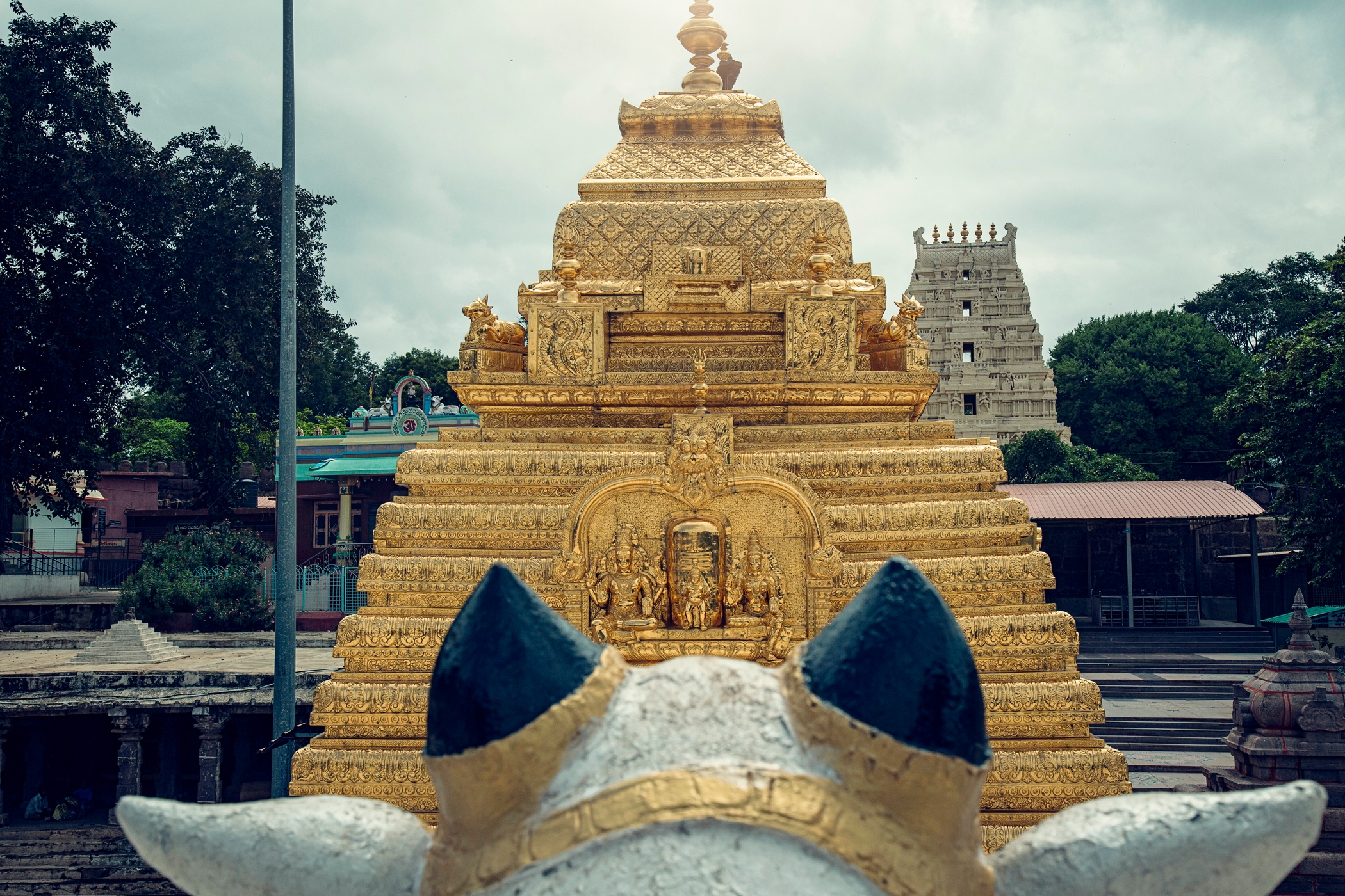 Srisailam Jyotirlinga Temple in Andhra