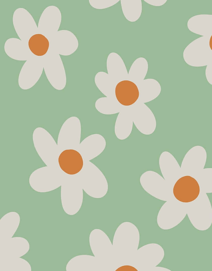 Download Cute Sage Green White Daisies