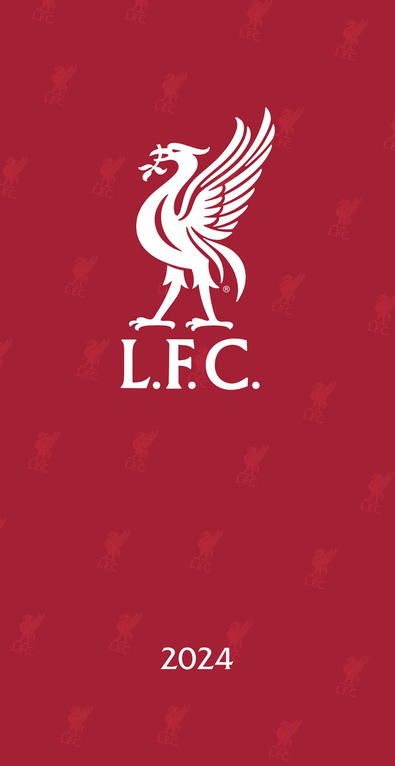 Liverpool Fc 2024 Slim Diary