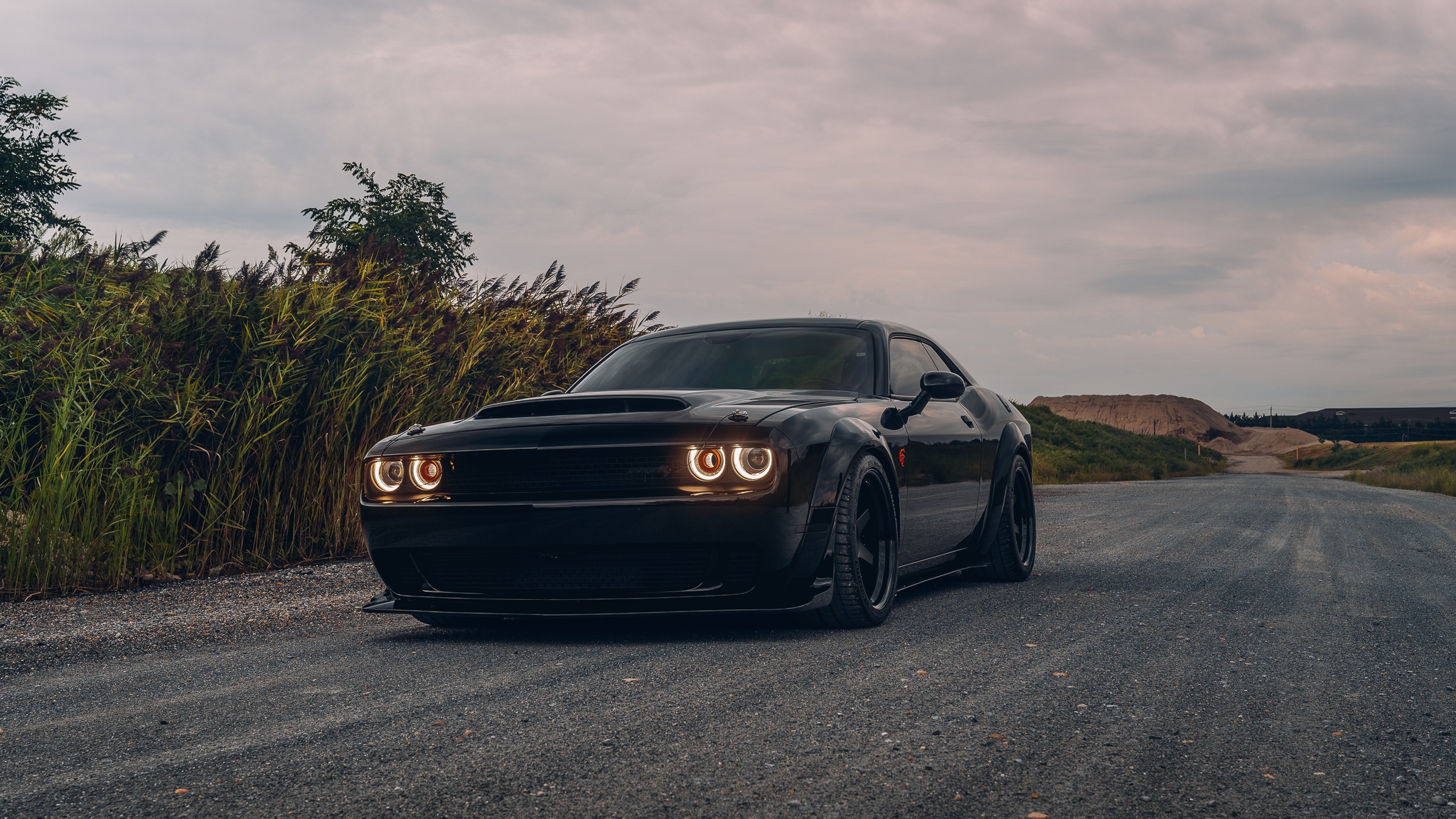 Download Muscle Car Dodge Challenger