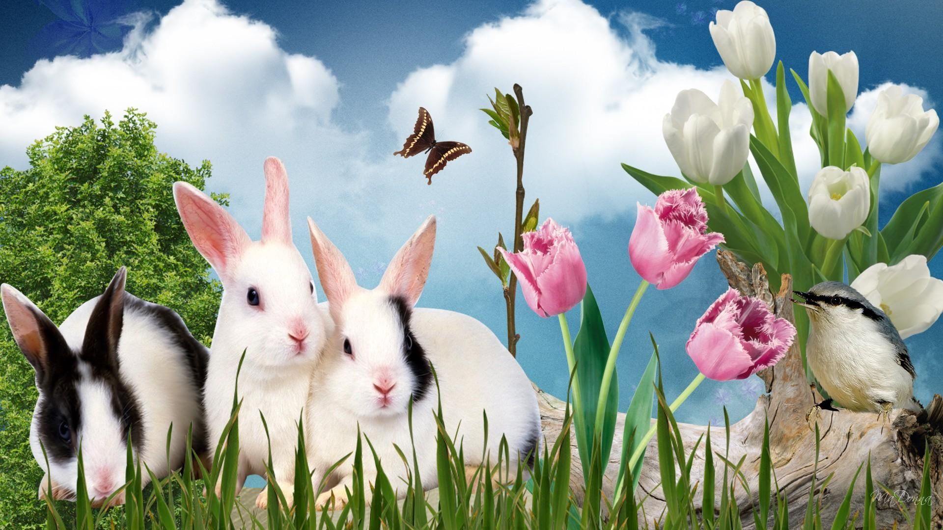Spring Bunnies, Grass, Tulips, Easter