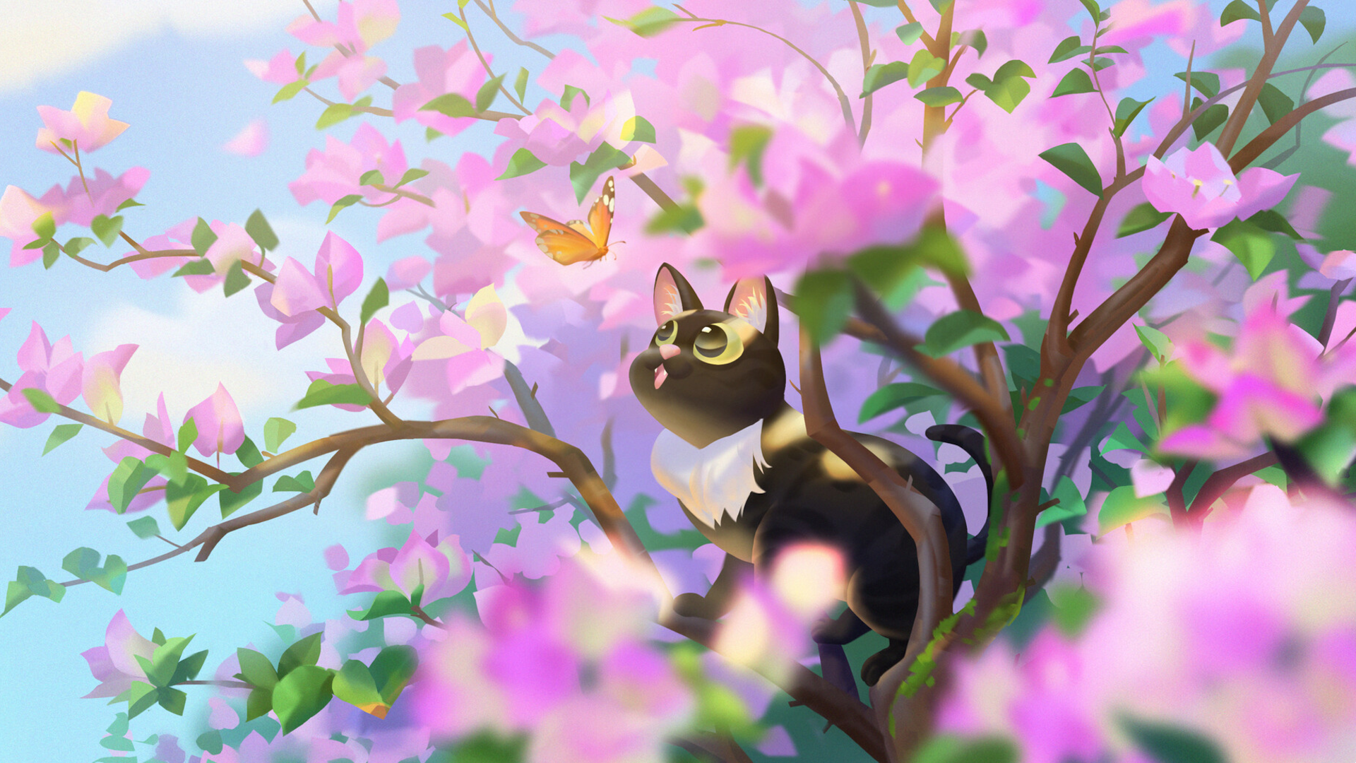 Animal Cat HD Wallpaper