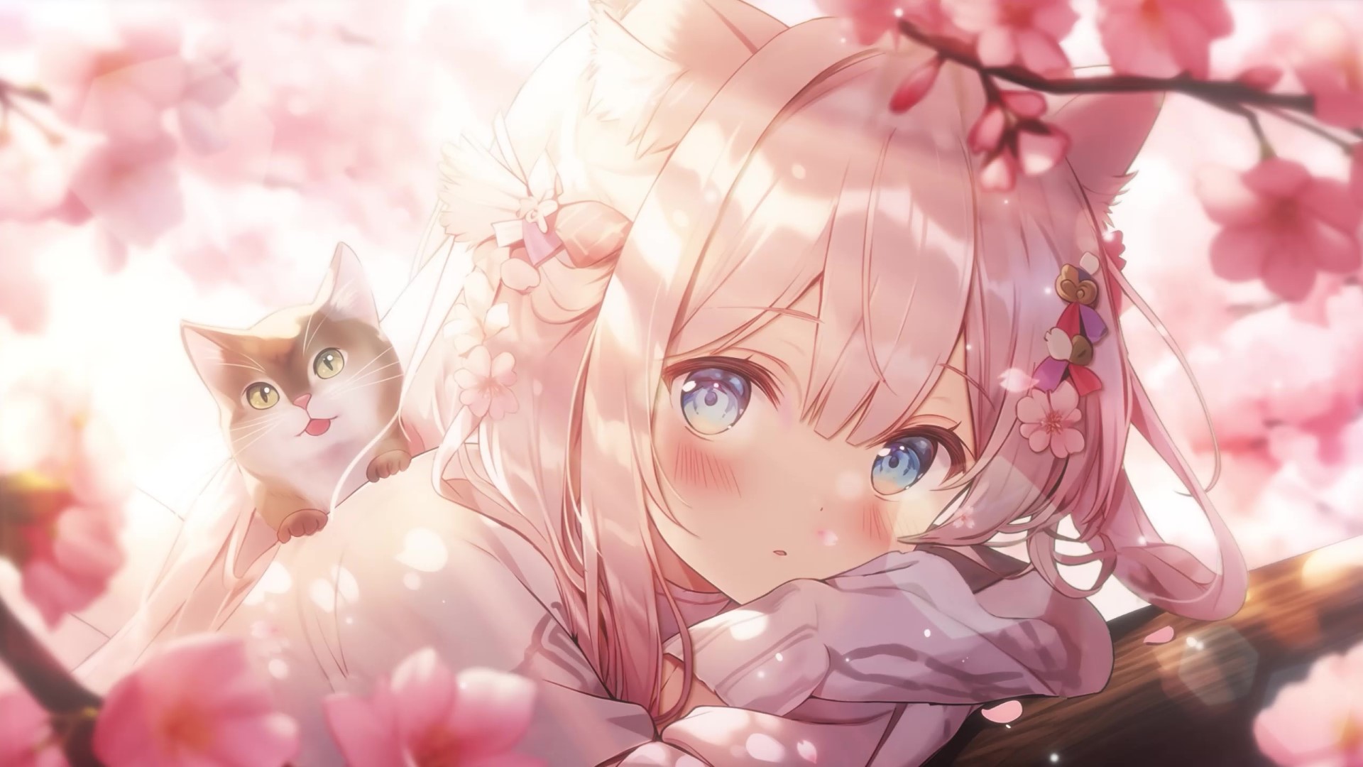 Cat Live Wallpaper, Animated